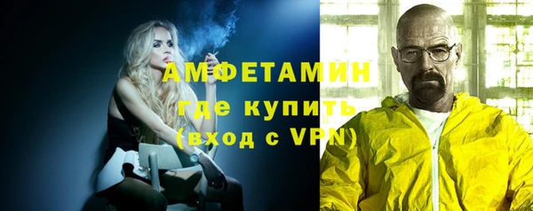 шишки Осинники