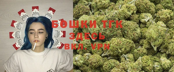 стаф Осташков