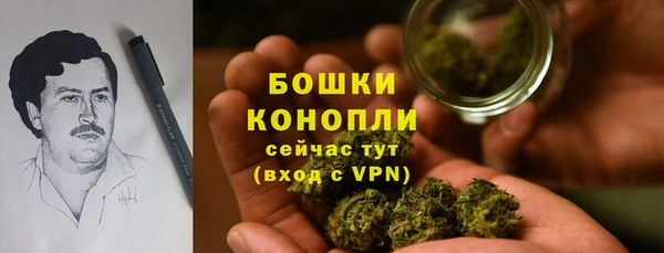 шишки Осинники