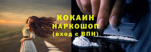 стаф Осташков
