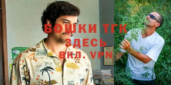 стаф Осташков