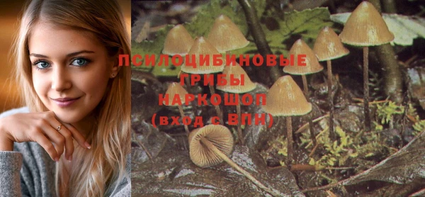 шишки Осинники