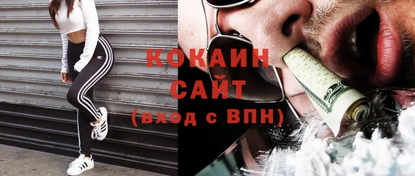 шишки Осинники