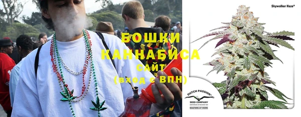шишки Осинники