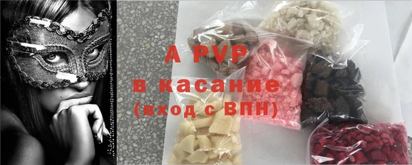 шишки Осинники