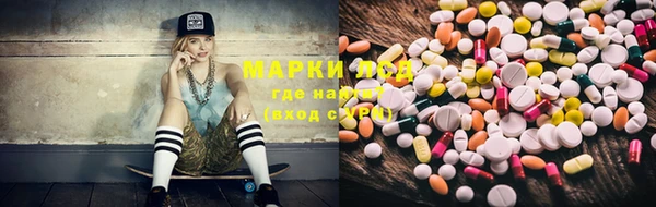 стаф Осташков