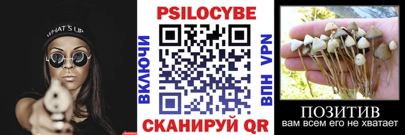 купить закладку  Закаменск  MEGA зеркало  shop телеграм  Псилоцибиновые грибы Psilocybe 